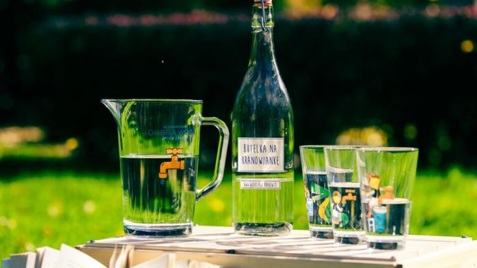 Szklanki, dzbanek i&nbsp;butelka stoją na&nbsp;skrzyni na&nbsp;zielonej trawie