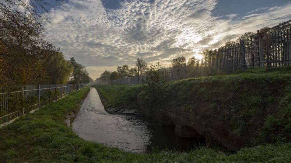 Młynówka Szczyglicka, widok ma rzekę