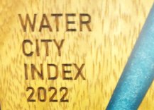 Water City Index - ststuetka.