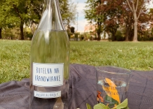 butelka i szklanki stoją na kocyku położonym na trawie